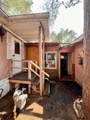 1256 Skyline Ln - Photo 31