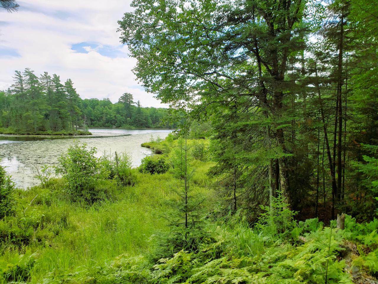 Lot 5 Blue Heron Ridge Rd - Photo 1