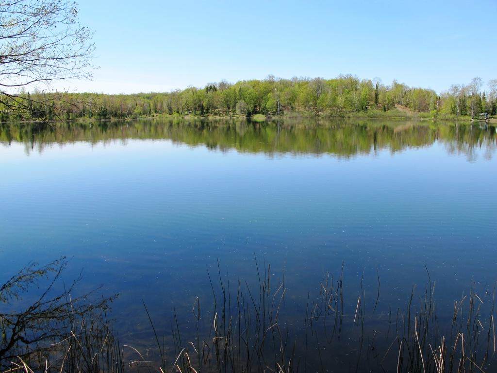 TBD Pomeroy Lake Rd - Photo 1
