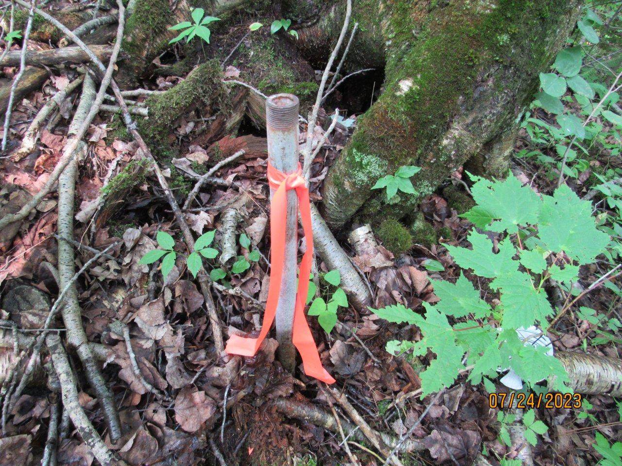 https://bt-photos.global.ssl.fastly.net/northwoods/orig_boomver_1_202904-2.jpg