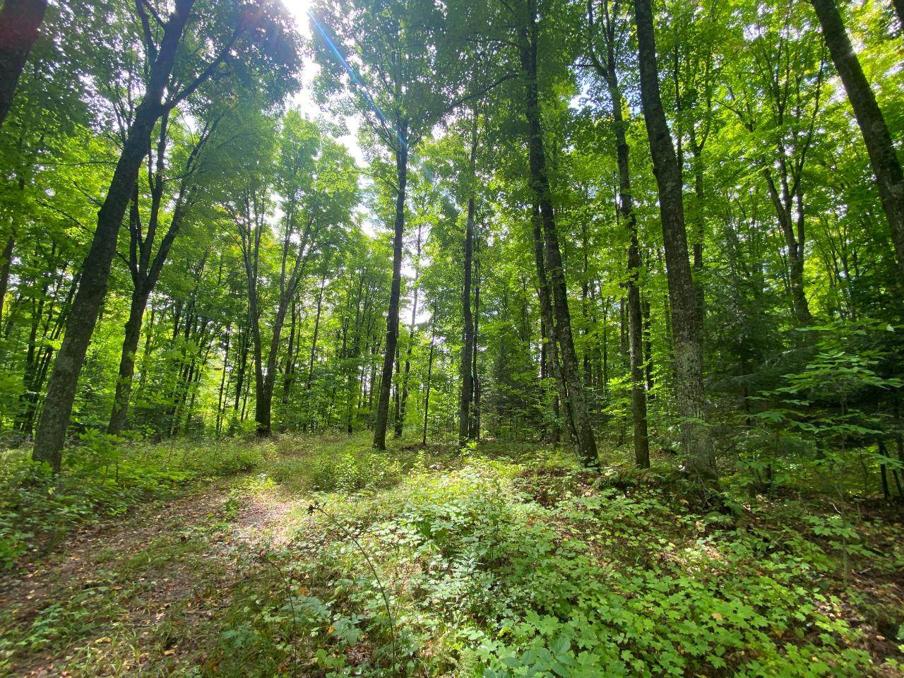 NEAR Schmidt Ln - Photo 1