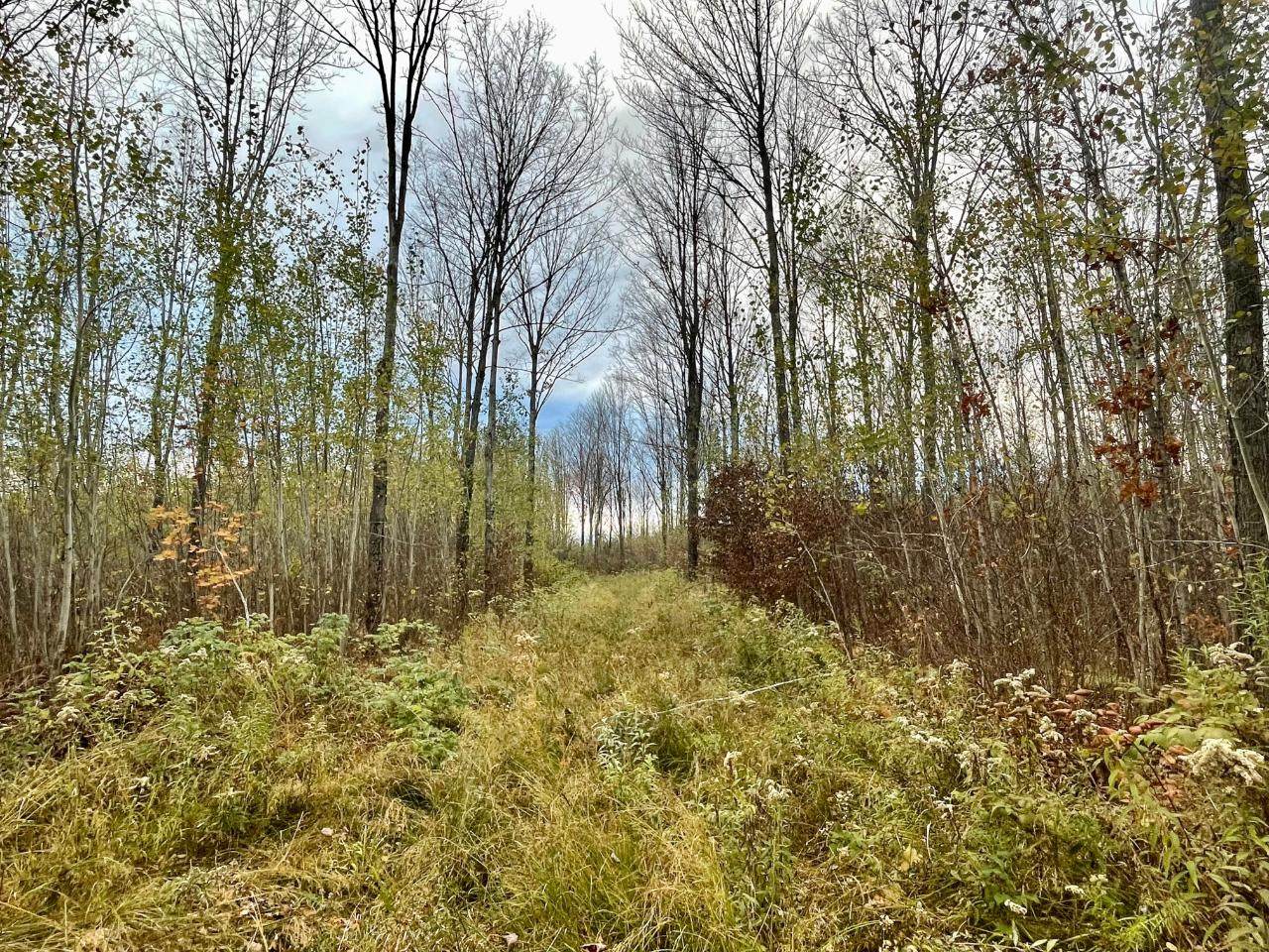 https://bt-photos.global.ssl.fastly.net/northwoods/orig_boomver_1_204352-2.jpg
