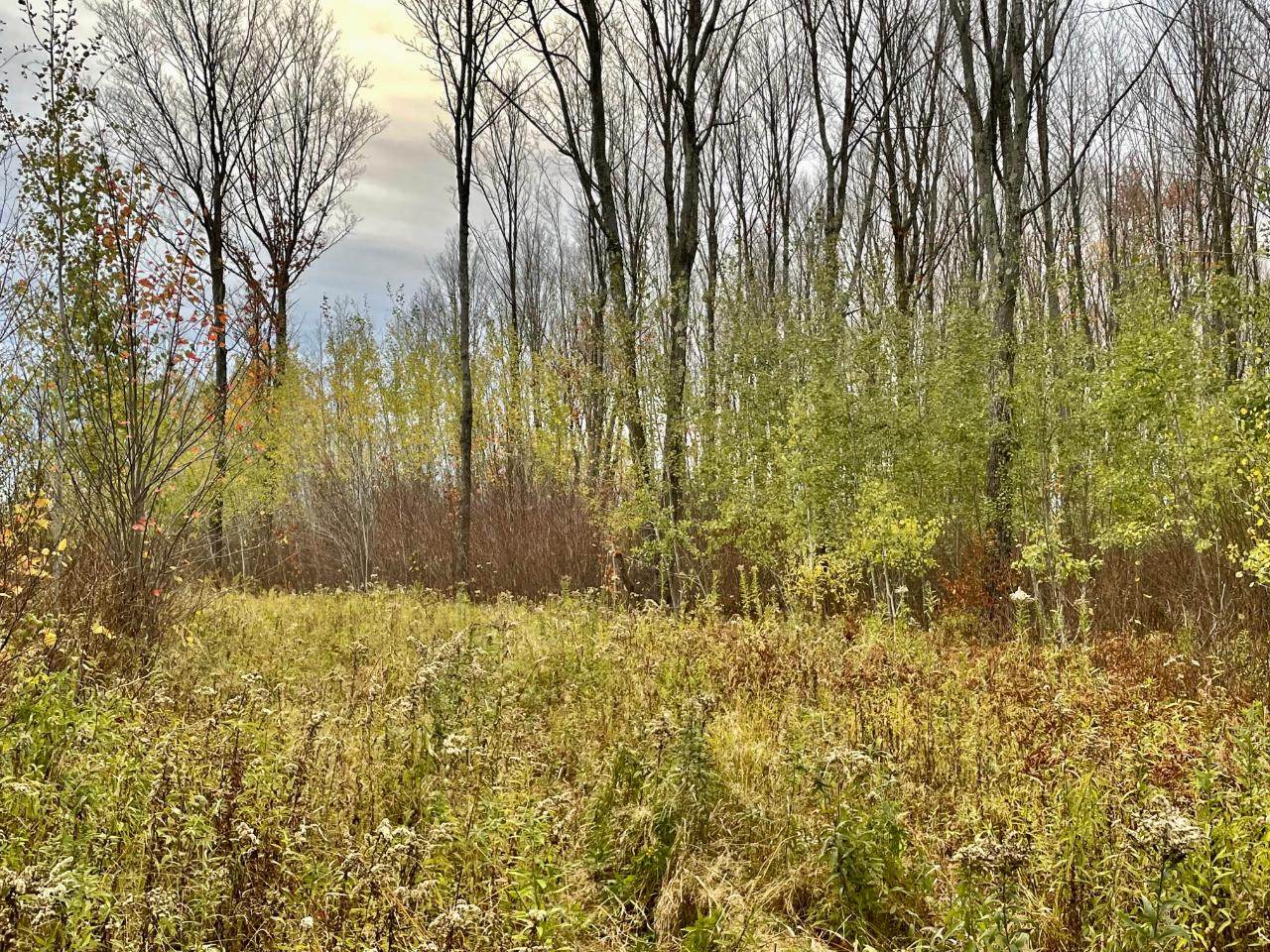 https://bt-photos.global.ssl.fastly.net/northwoods/orig_boomver_1_204352-2.jpg