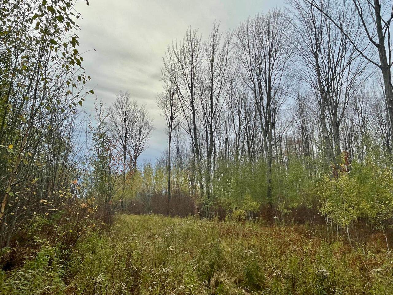 https://bt-photos.global.ssl.fastly.net/northwoods/orig_boomver_1_204352-2.jpg