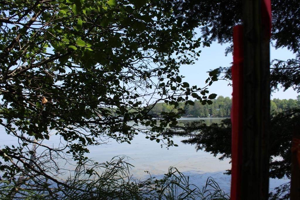 Lot 3 Forest Ln - Photo 1