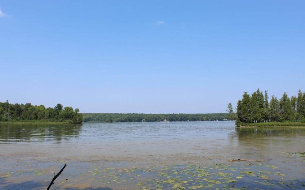 Lot 4 Forest Ln - Photo 1