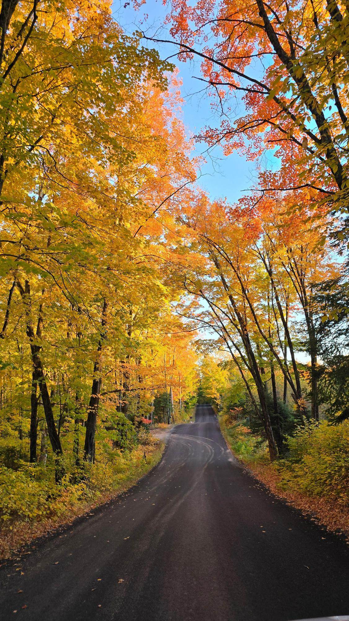 ON Steve Javenkowski Rd - Photo 1