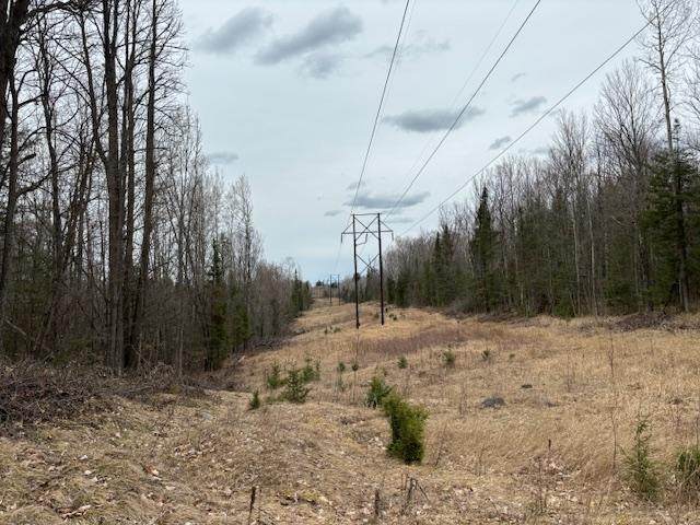 80 Acres Hightower Rd - Photo 1