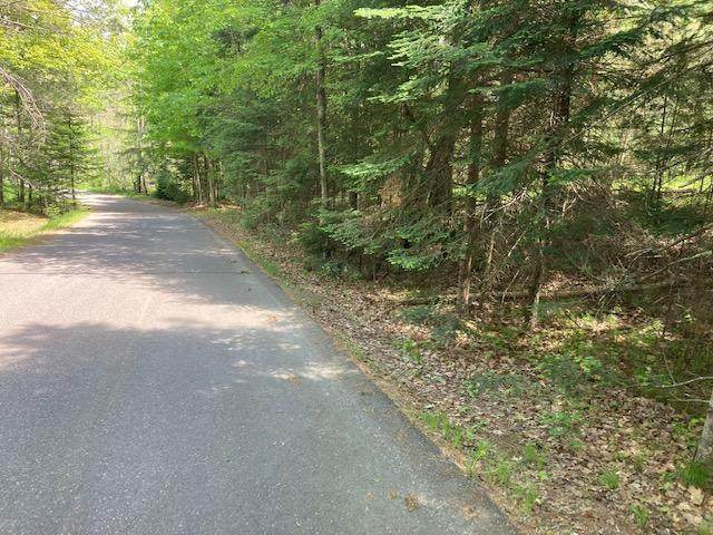 HA98-5 Stone Field Rd - Photo 1