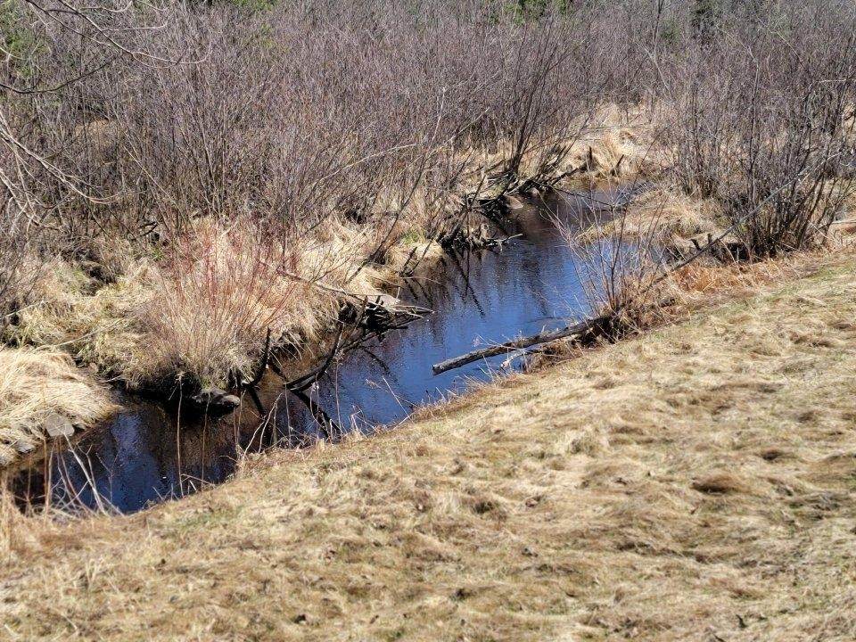 https://bt-photos.global.ssl.fastly.net/northwoods/orig_boomver_1_210865-2.jpg