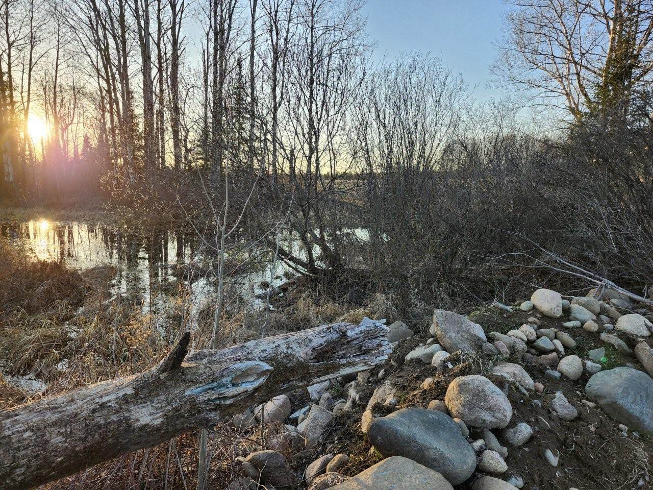 https://bt-photos.global.ssl.fastly.net/northwoods/orig_boomver_1_211625-2.jpg