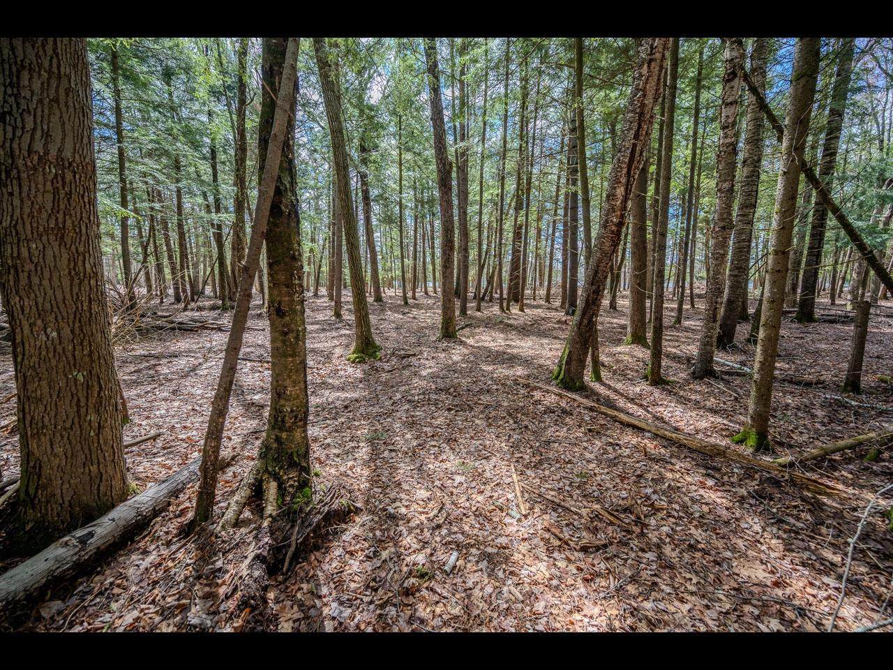 Lot 21 Bonita Pt - Photo 1