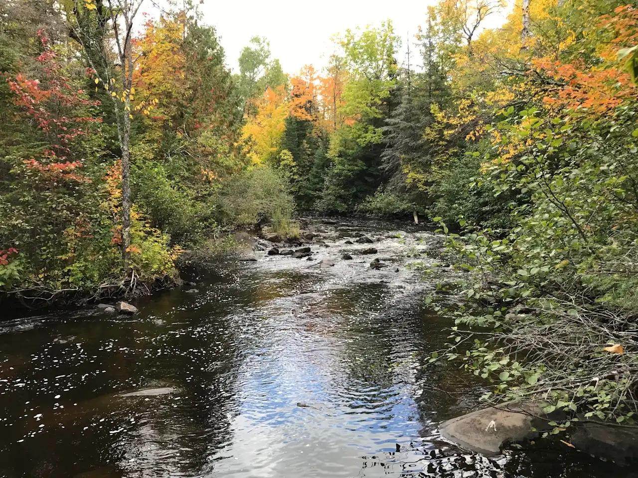ON River Rd - Photo 1