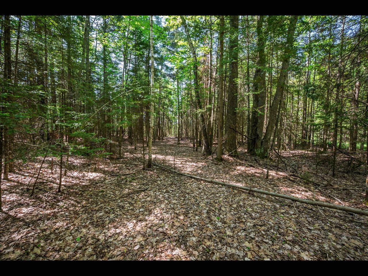 Lot 1 Memory Ln - Photo 1