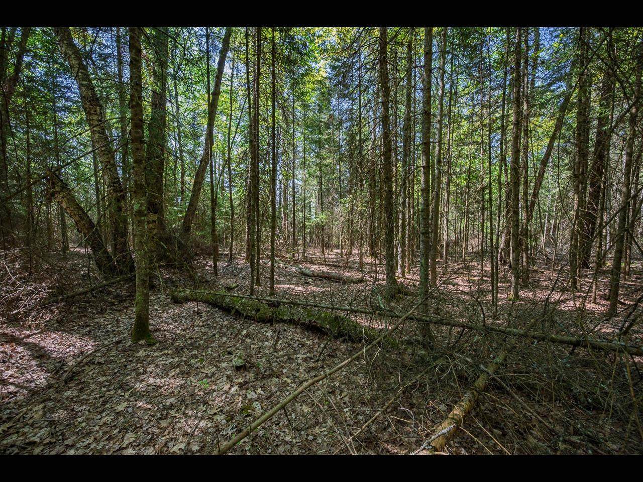 Lot 3 Memory Ln - Photo 1