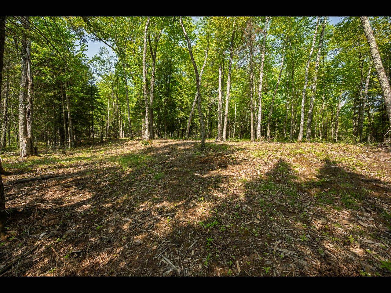 Lot 11 Kinderhook Tr - Photo 1