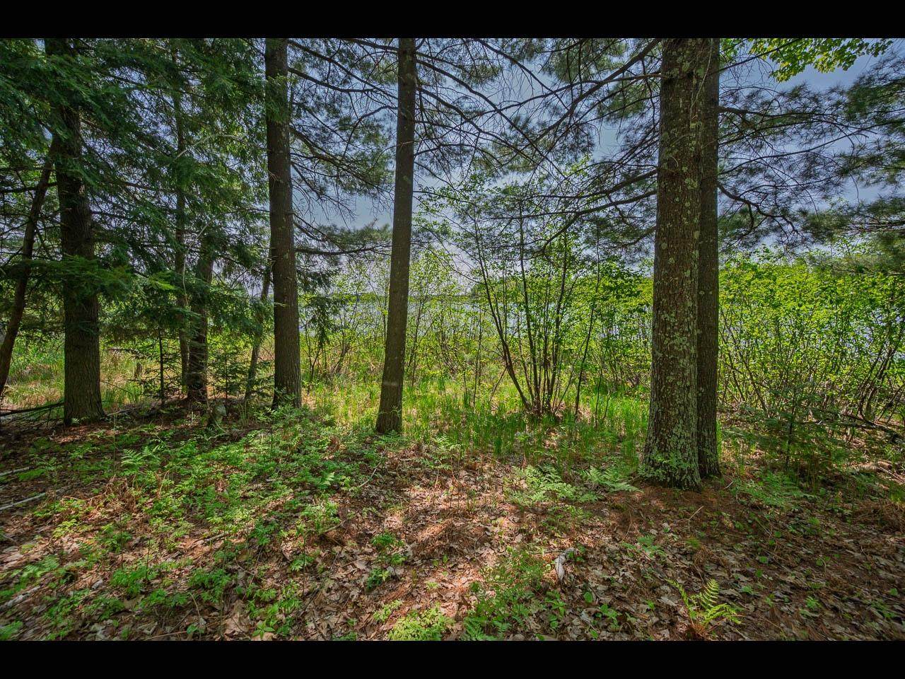 Lot 16 Memory Ln - Photo 1