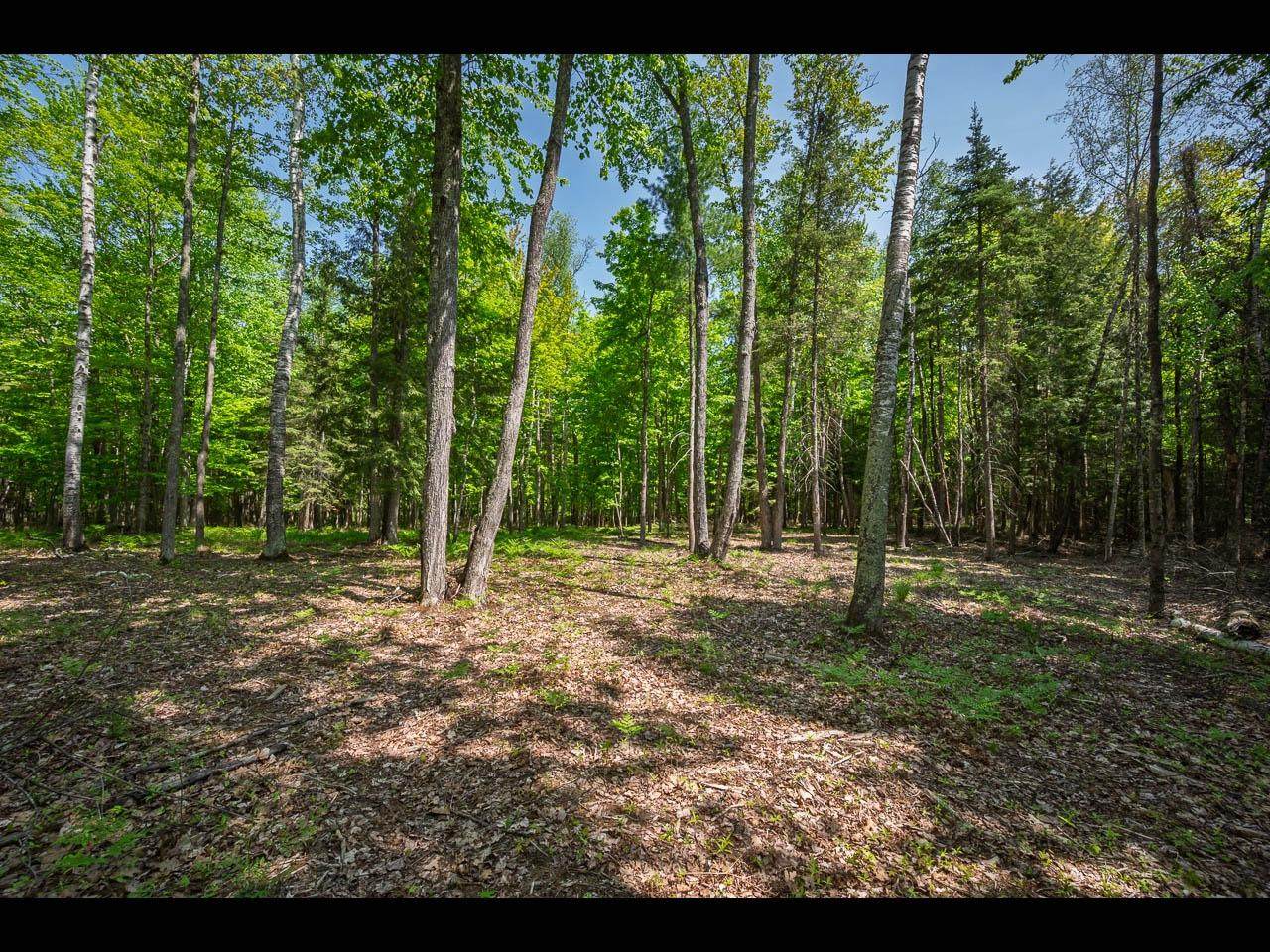 Lot 24 Bonita Pt - Photo 1