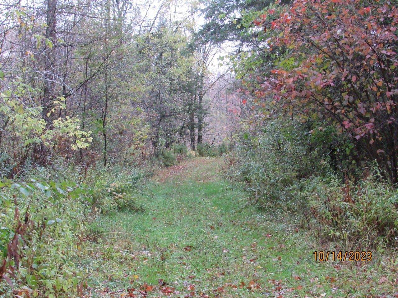Off Mill Rd - Photo 1