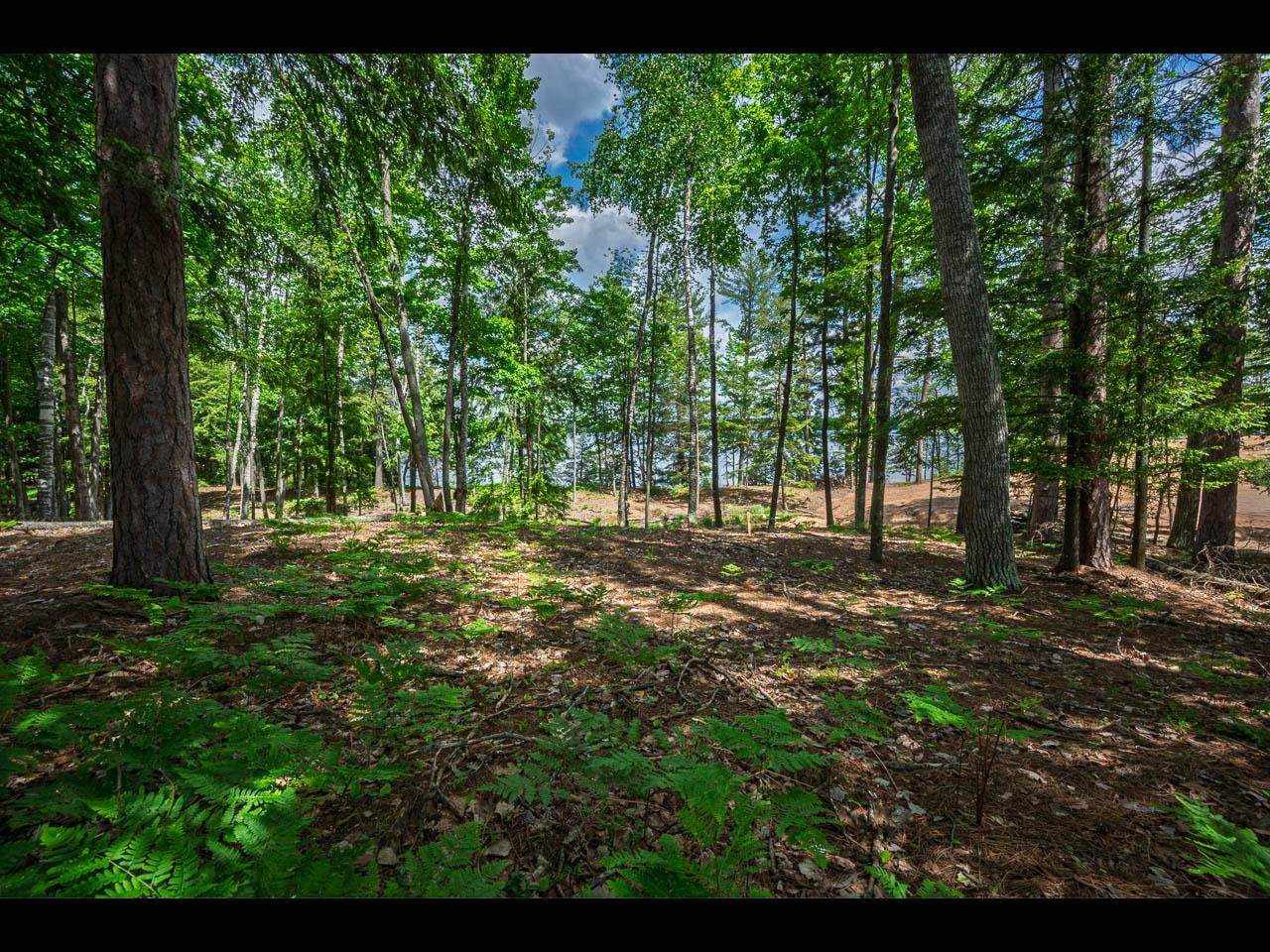 Lot 129 Clearwater Lake Tr - Photo 1