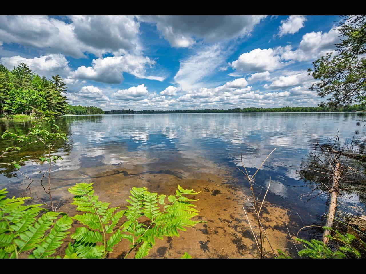 Lot 130 Clearwater Lake Tr - Photo 1