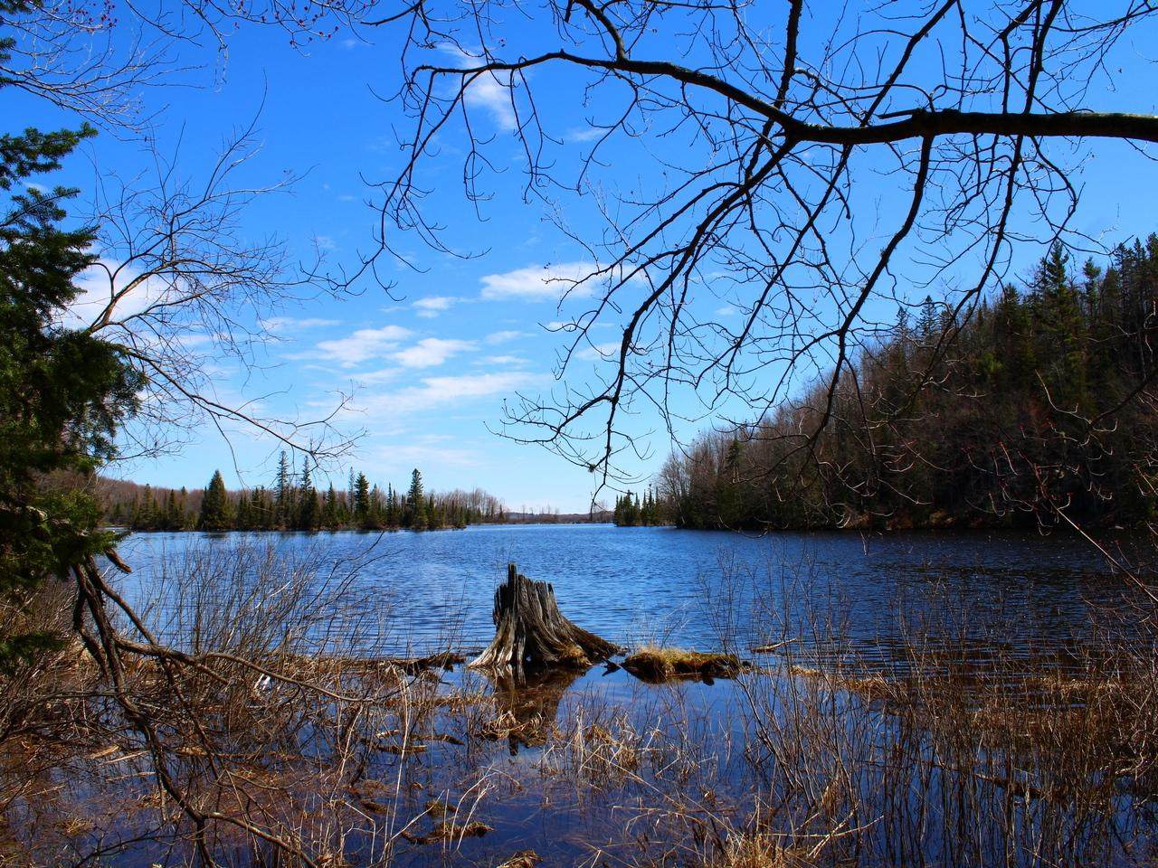 Off Spring Camp Rd - Photo 1