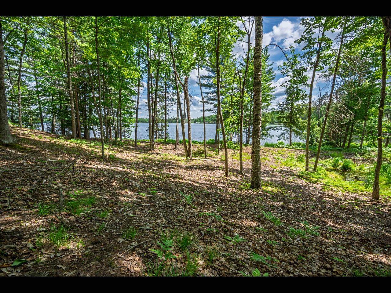Lot 133 Clearwater Lake Tr - Photo 1