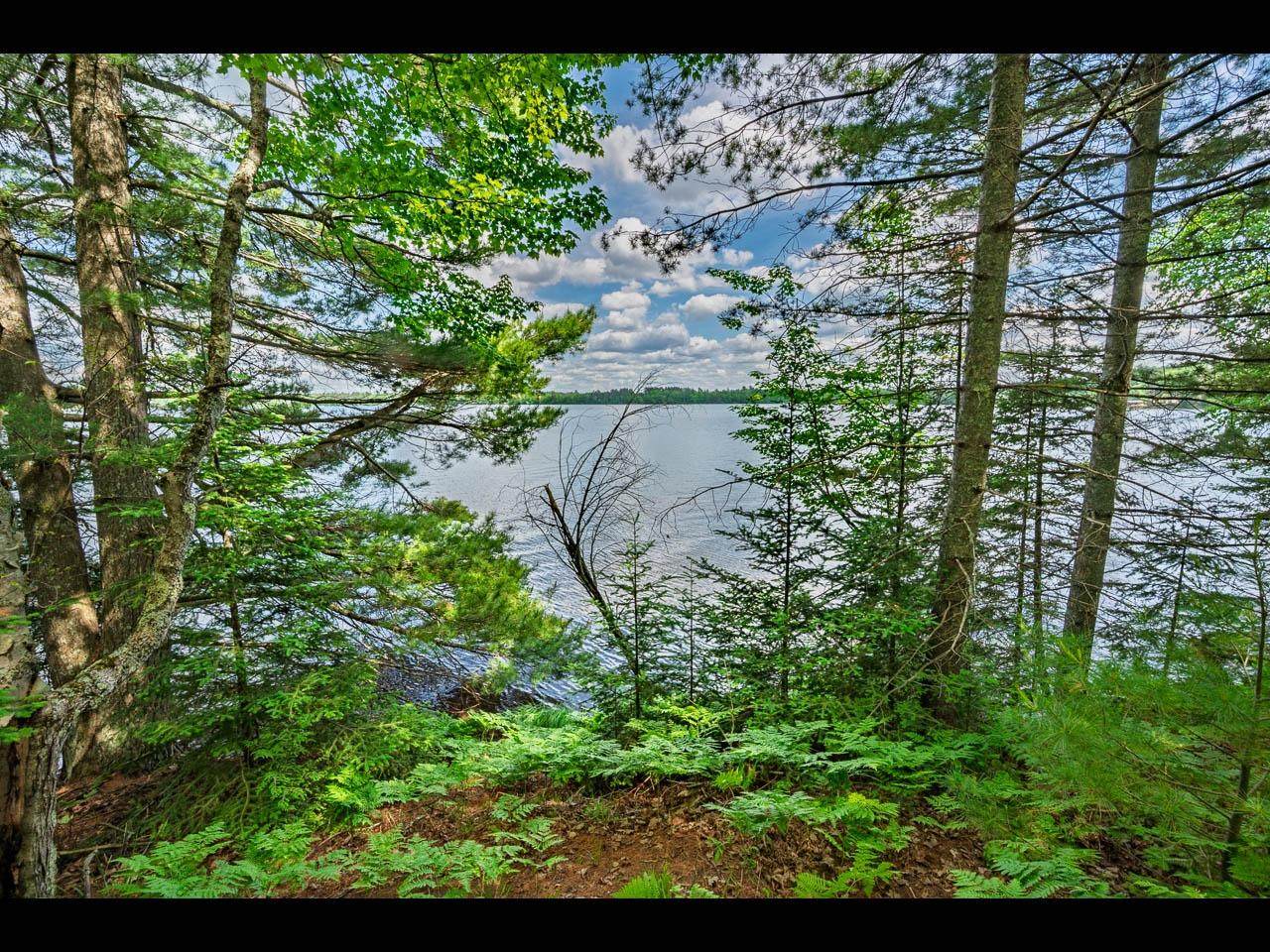Lot 136 Clearwater Lake Tr - Photo 1