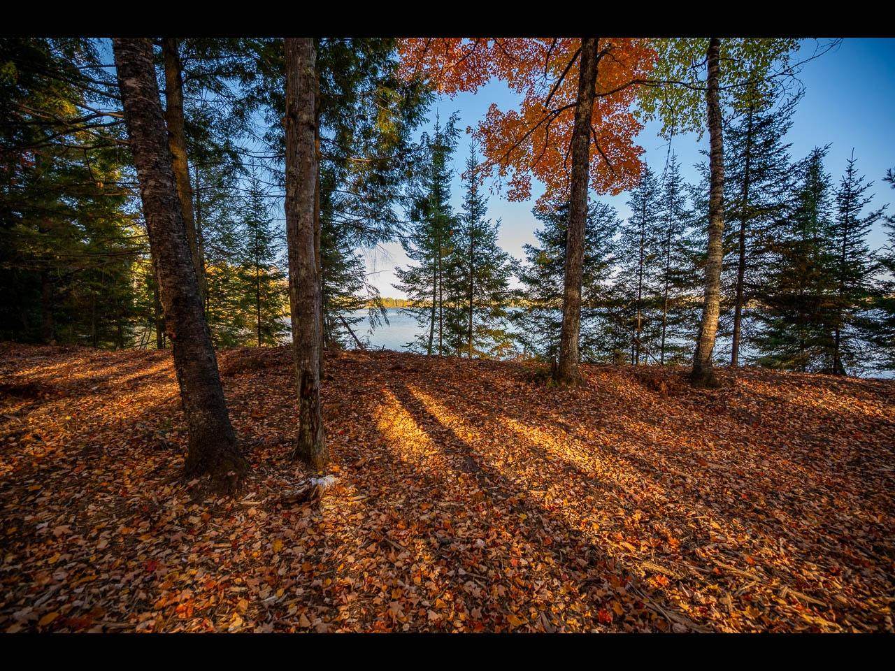 Lot 137 Clearwater Lake Tr - Photo 1