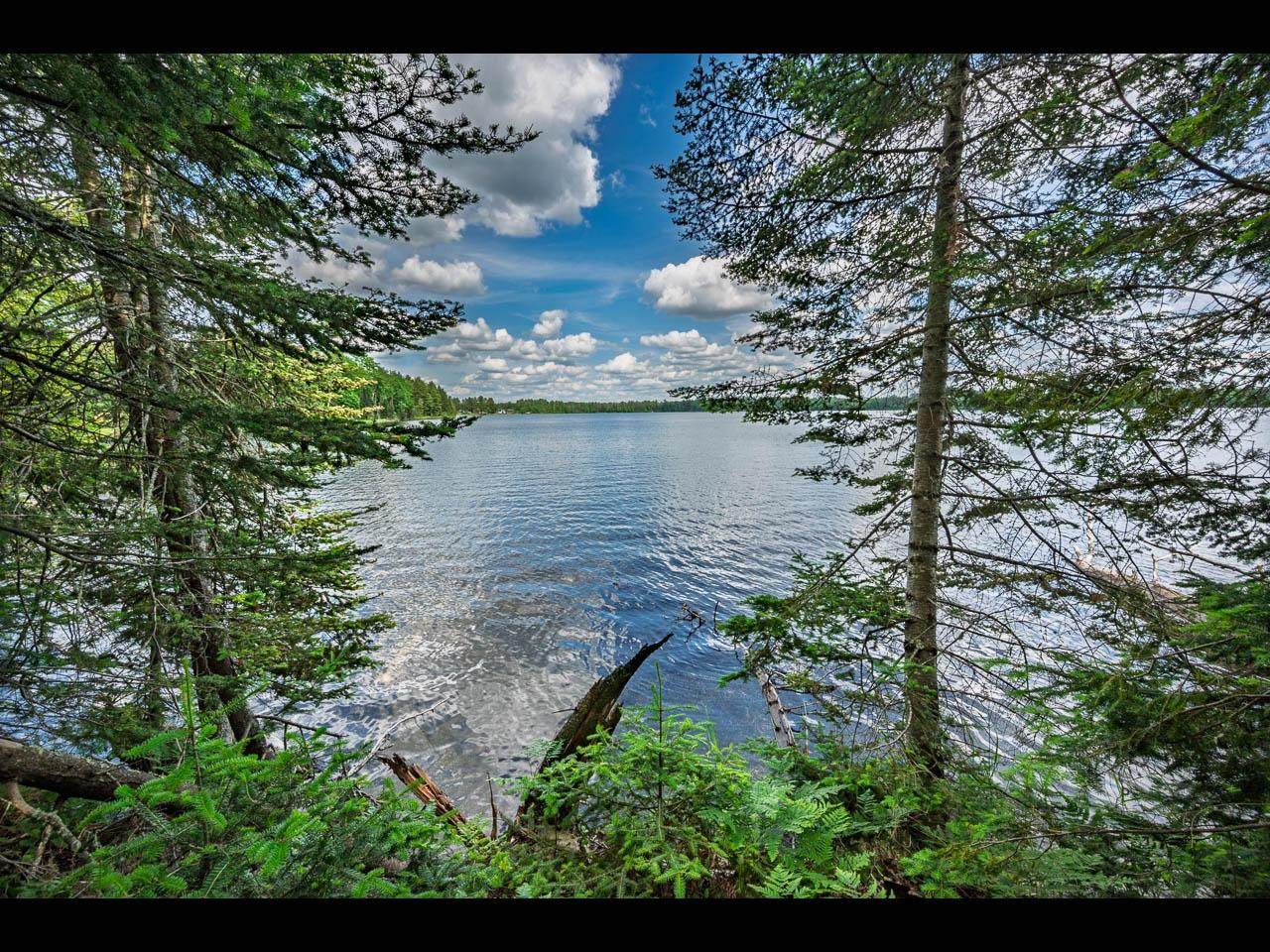 Lot 138 Clearwater Lake Tr - Photo 1