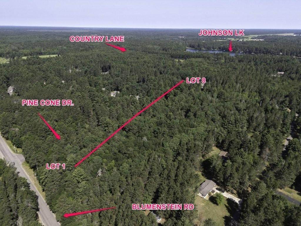 Lot 7 Pine Cone Dr - Photo 1