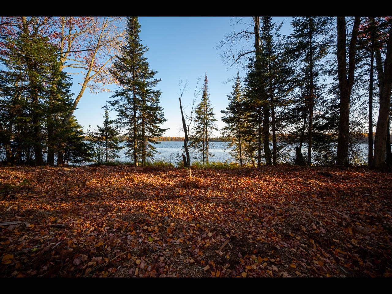 Lot 141 Kindling Pt - Photo 1