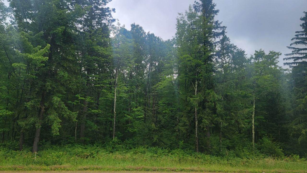 N4651 Pennington Rd - Photo 1