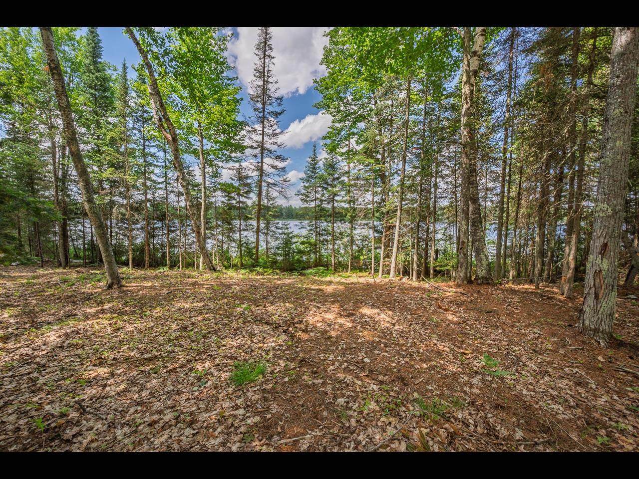 Lot 160 Clearwater Lake Tr - Photo 1