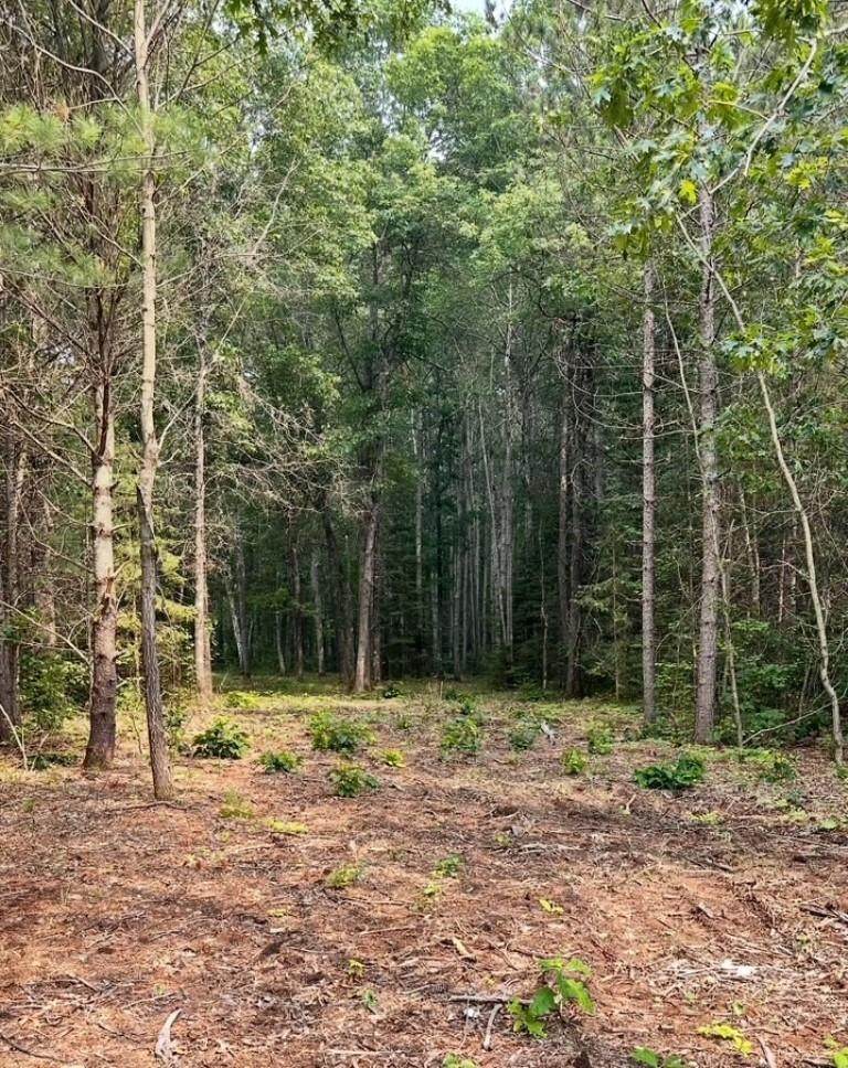 2.5 Acre Cth Y - Photo 1