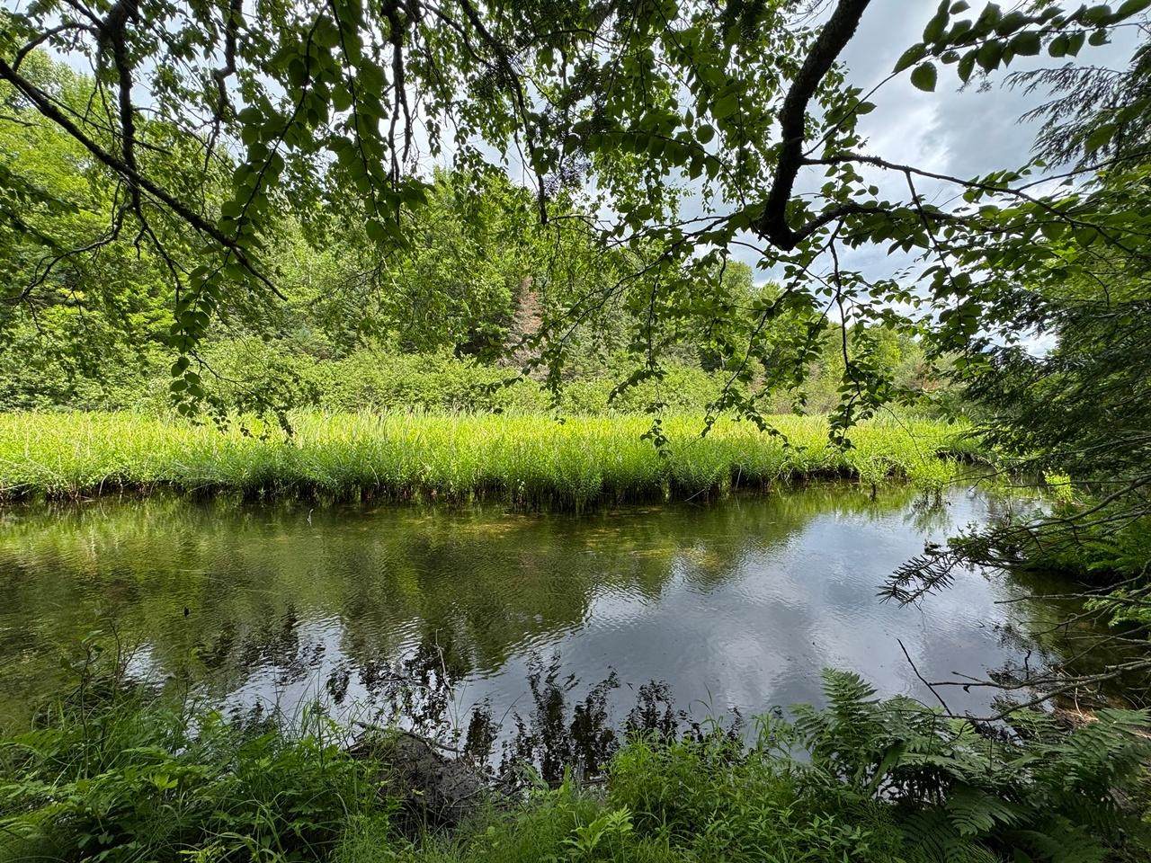 1CSM666 Mercer Lake Cr S - Photo 1