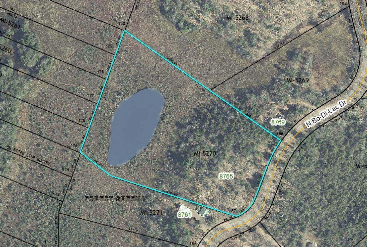 8765 Bo Di Lac Dr N - Photo 1
