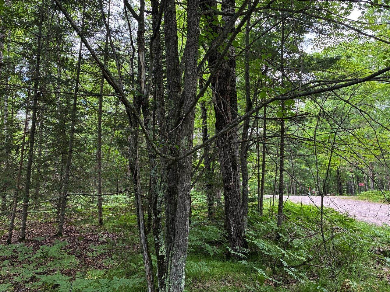 ON Musky Dam Ln - Photo 1