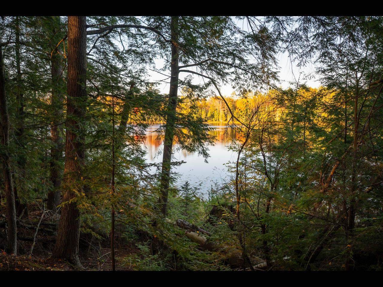 Lot 162 Clearwater Lake Tr - Photo 1