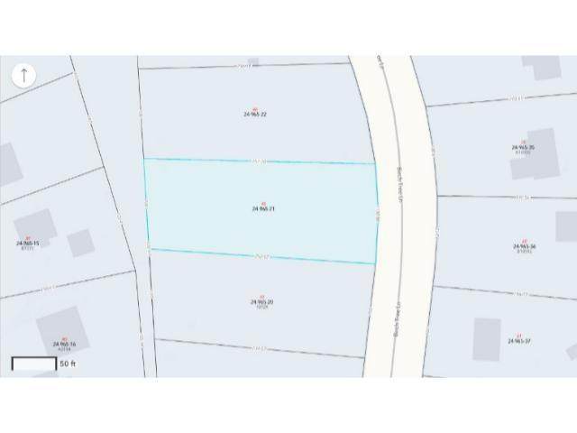 44 Birch Tree Ln - Photo 1