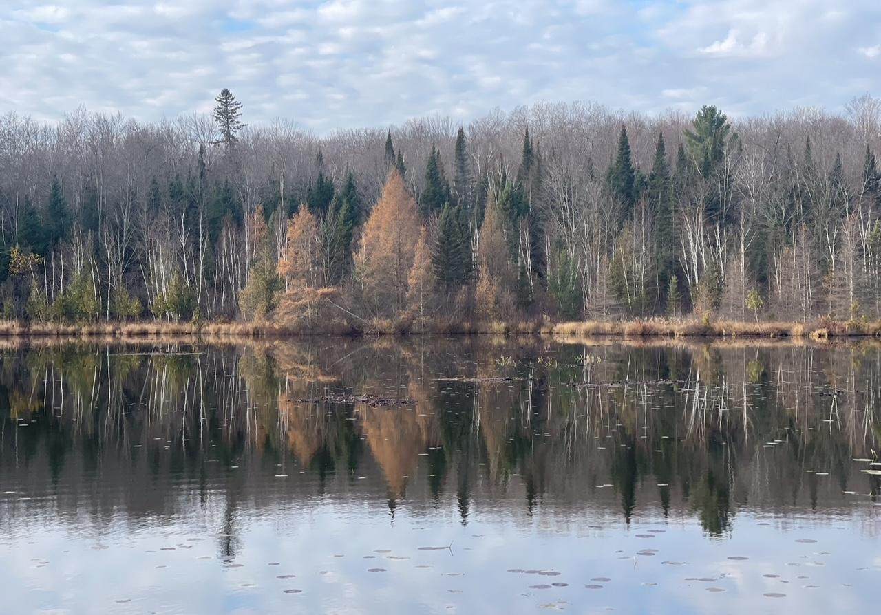 14463 Angel Crest Ln - Photo 1