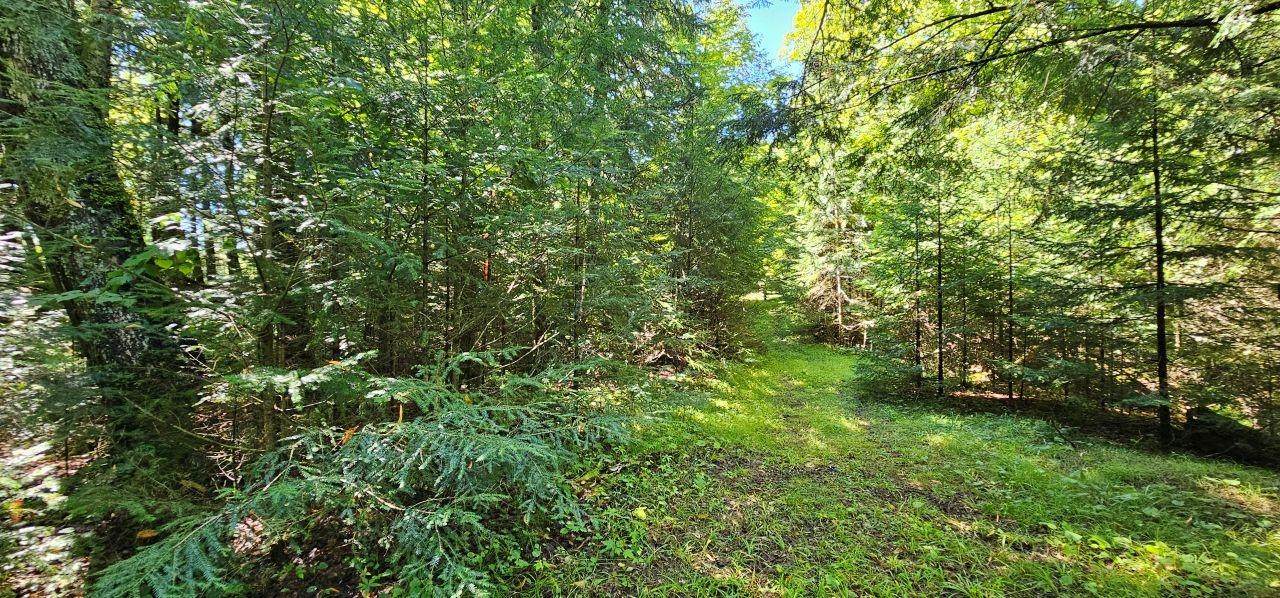 Lot2 off Golf Course Dr - Photo 1