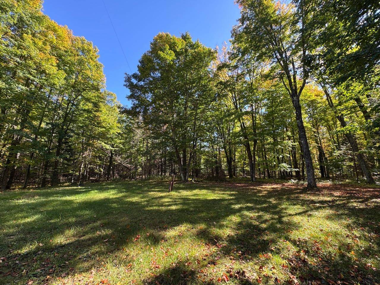 https://bt-photos.global.ssl.fastly.net/northwoods/orig_boomver_1_214452-2.jpg