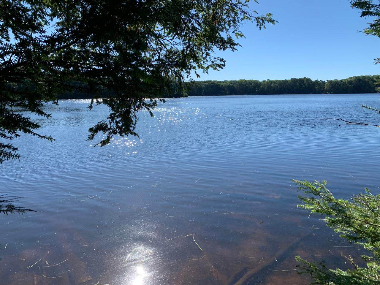 https://bt-photos.global.ssl.fastly.net/northwoods/orig_boomver_1_214598-2.jpg
