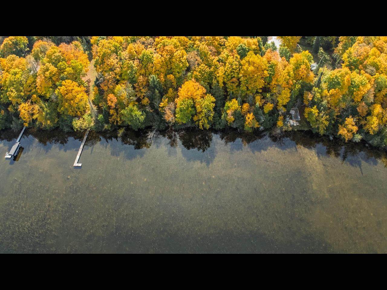 ON W Harris Lake Rd - Photo 1