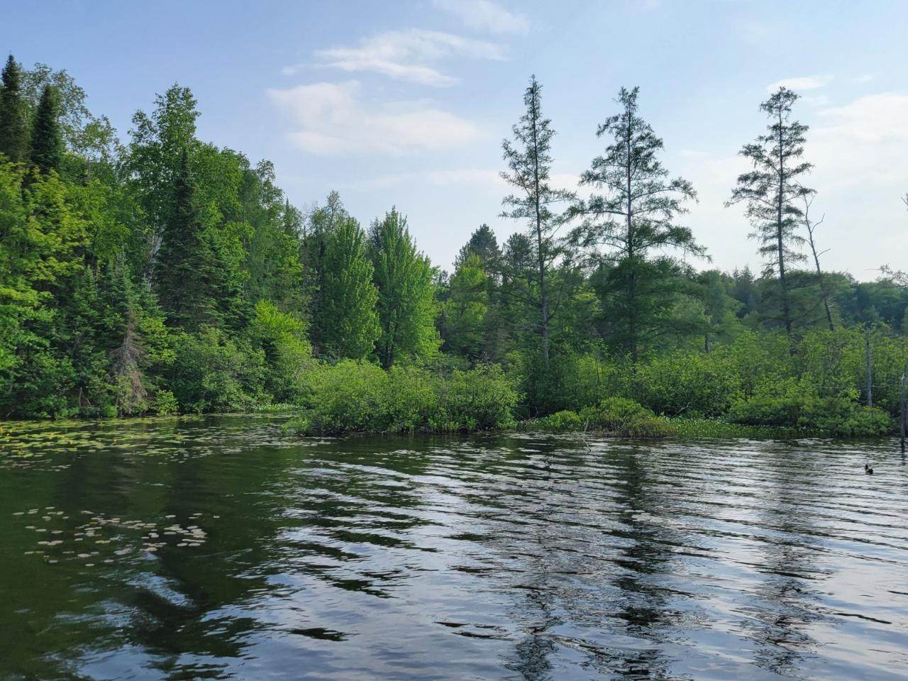 19308 Mamie Lake Rd W - Photo 1