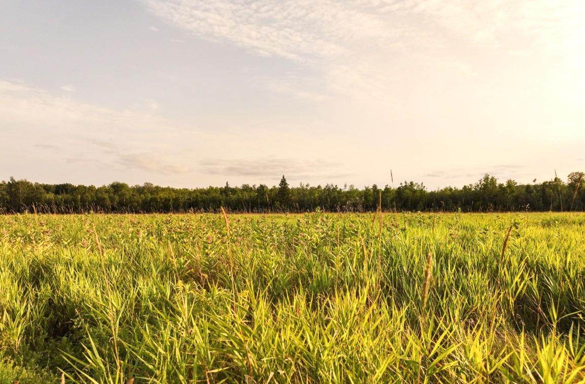 ON Suring Ln - Photo 1