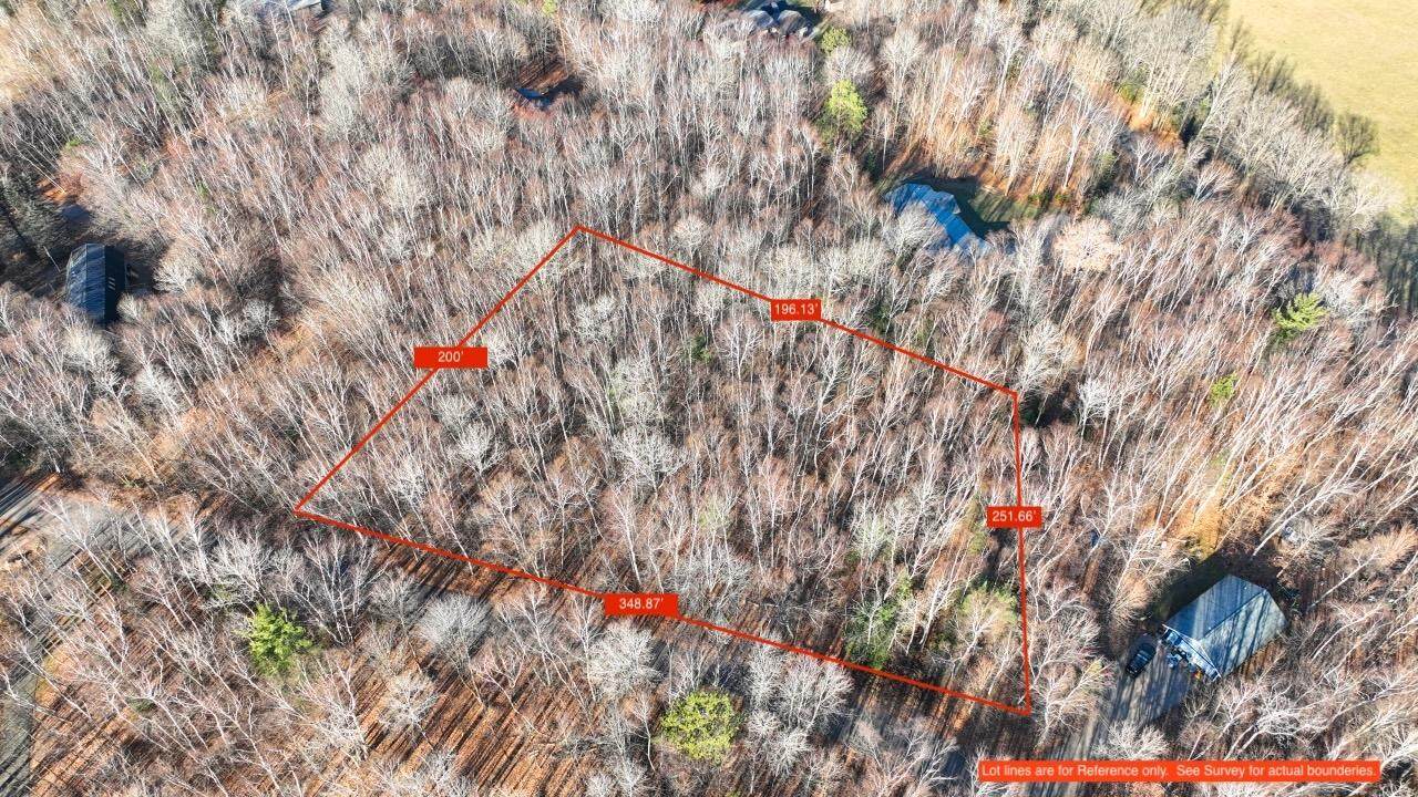 ON Timbershore Dr - Photo 1