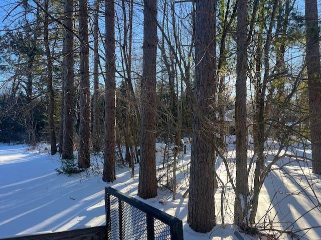 Lot 2 Archibald Lake Rd - Photo 1