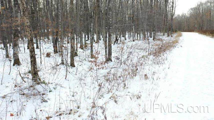 Lot 9 Elizabeth Ln - Photo 1